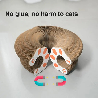 CurlPaw™