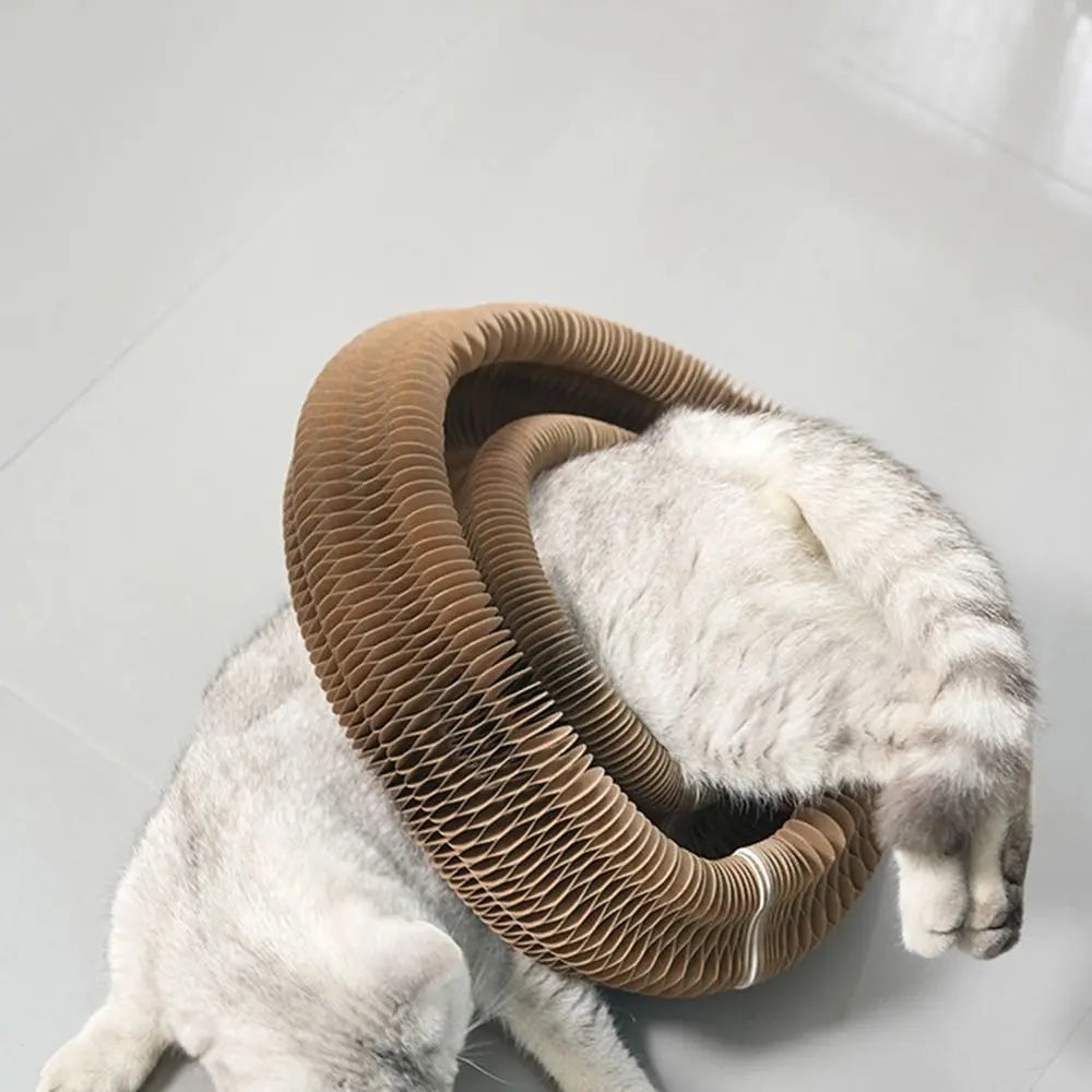 CurlPaw™