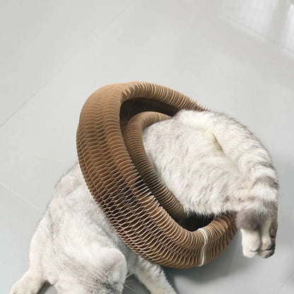CurlPaw™