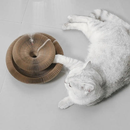 CurlPaw™