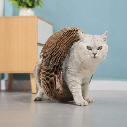 CurlPaw™